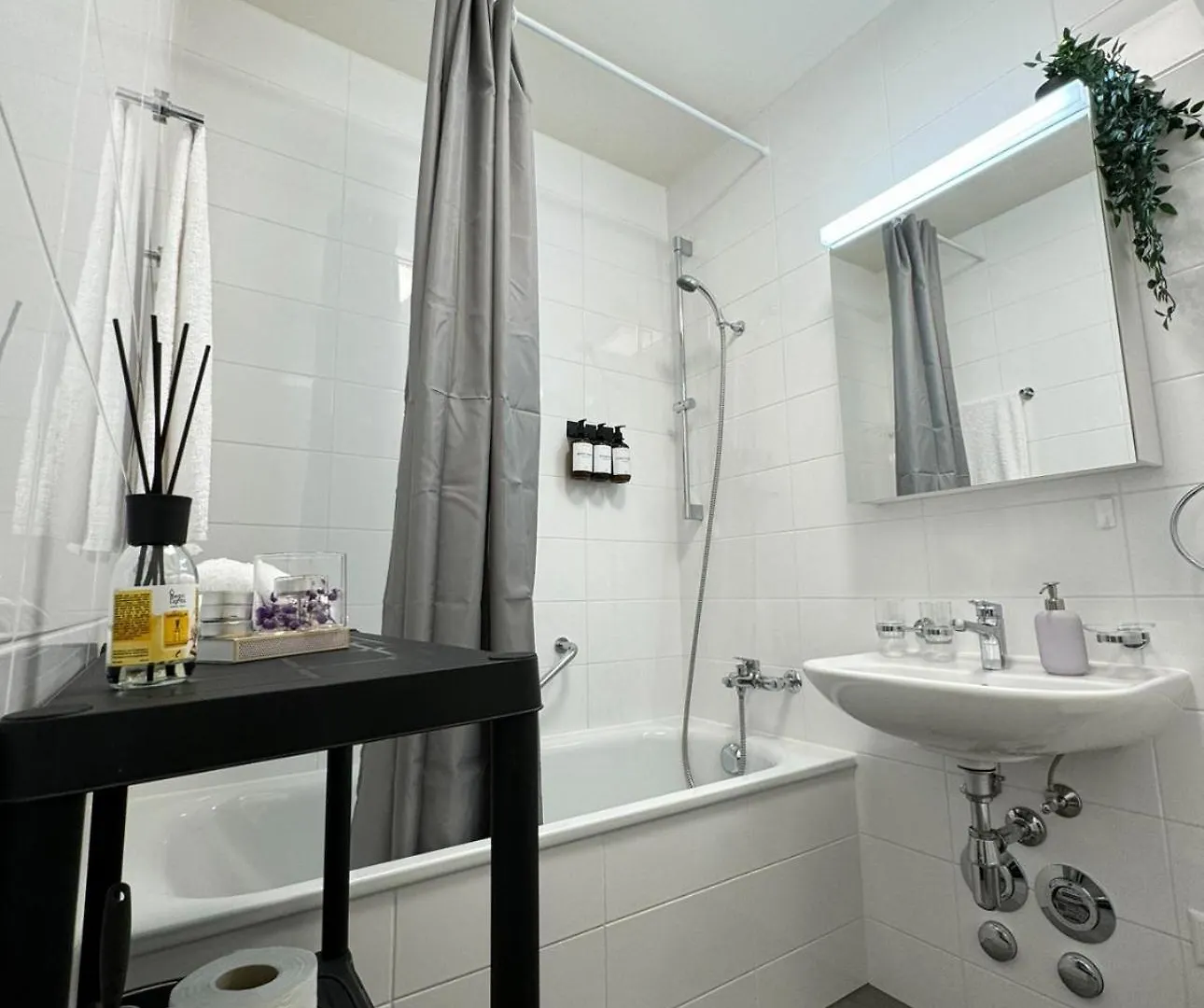 Apartment Modernite Et Confort A Geneve