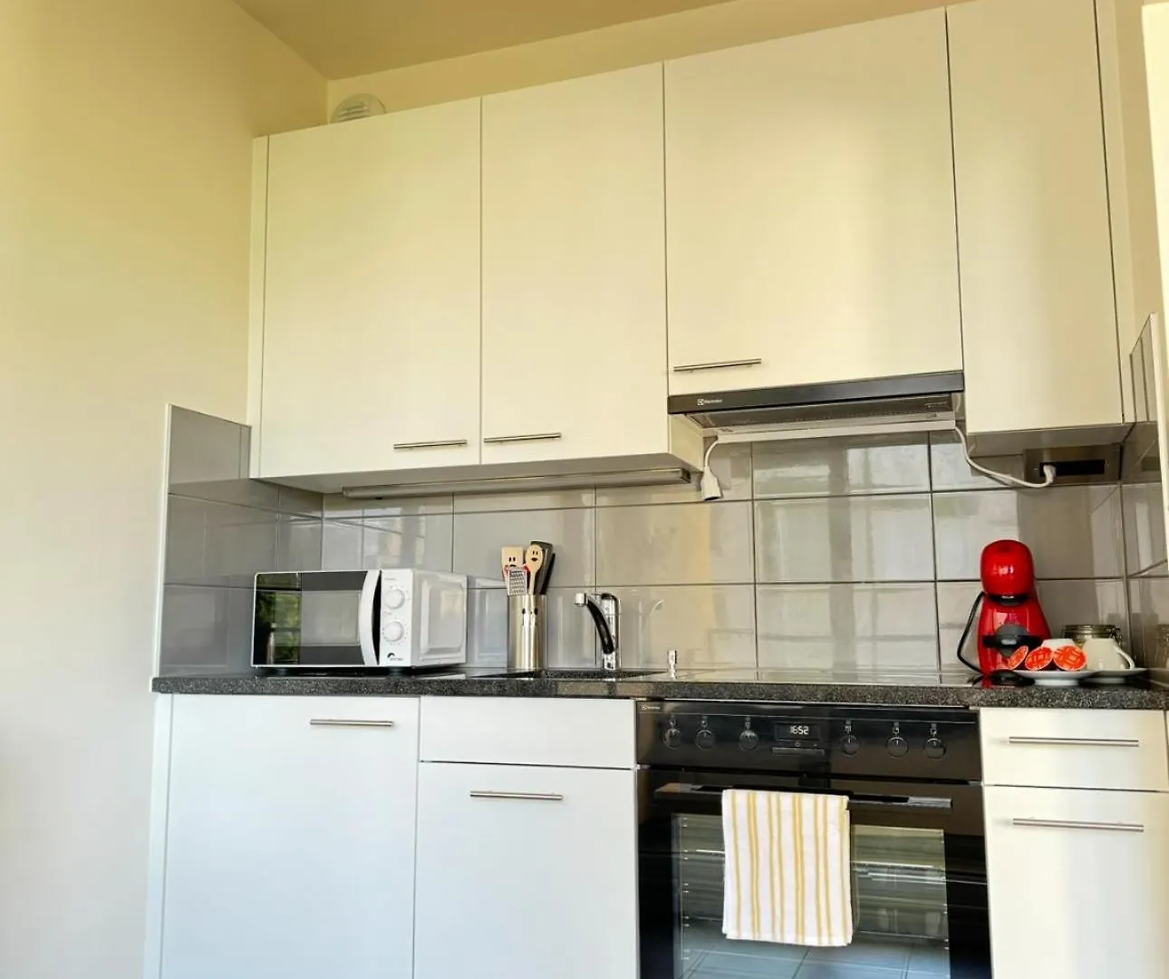 Apartment Modernite Et Confort A Geneve Switzerland